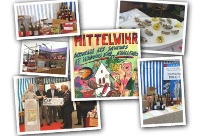 229001204-salon-saveurs-et-terroirs-1-420x280